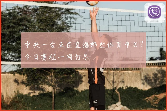 中央一台正在直播哪些体育节目？今日赛程一网打尽