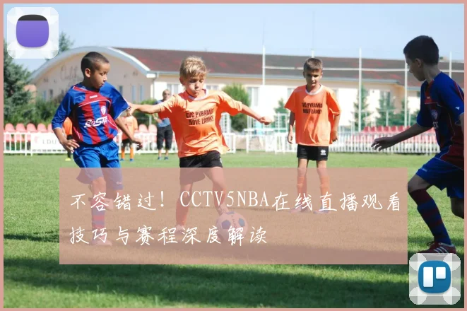 不容错过！CCTV5NBA在线直播观看技巧与赛程深度解读