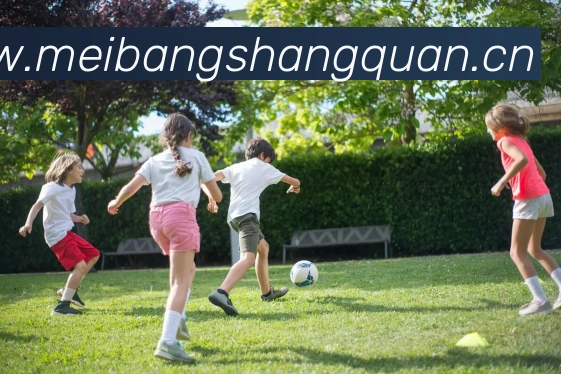 App Interface Preview